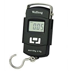 Weighing Scale Digital Heavy Duty Portable, Hook Type with Temp, 50Kg
