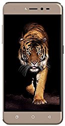 Coolpad Note 5 Lite (Royal Gold, 3GB RAM,16 GB, Dual SIM) @ Rs.8399