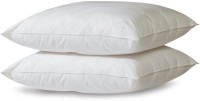 Panipat Textile Hub Plain Bed/Sleeping Pillow (White)